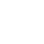 Axion