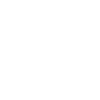 Axion